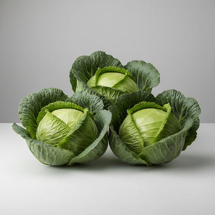 Cabbage Golden Acre Seeds – Heirloom Fast-Maturing Early Classic