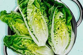 Lettuce, Green Romaine