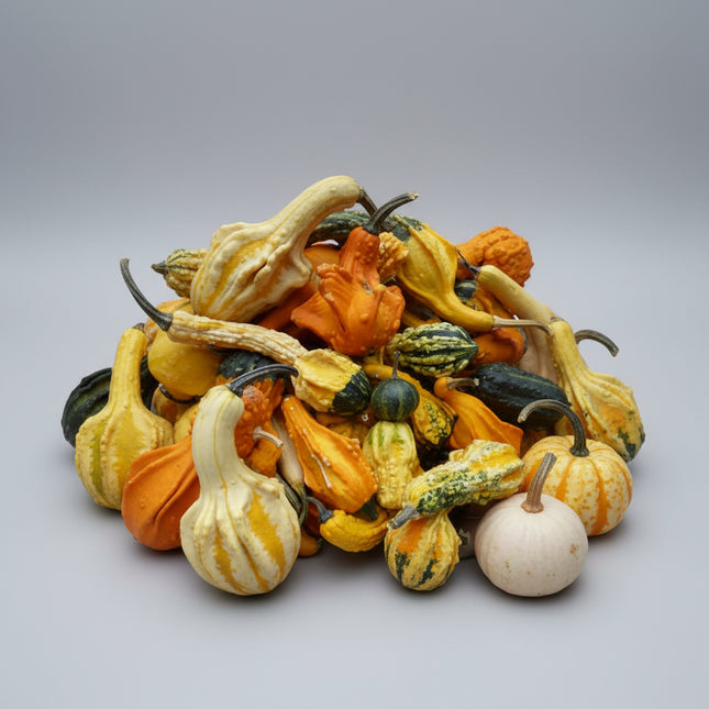Calabaza, Gremlins Mixtos