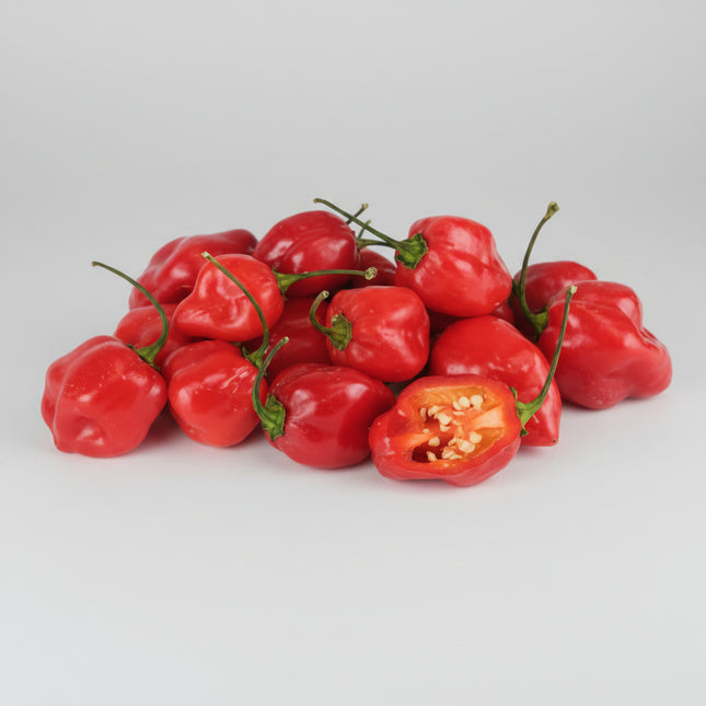 Piment Habanero rouge
