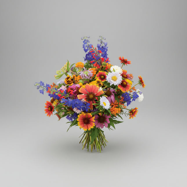 Mélange de fleurs pour colibris et papillons