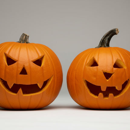 Pumpkin Jack o' Lantern  Seeds – Heirloom Halloween Favorite