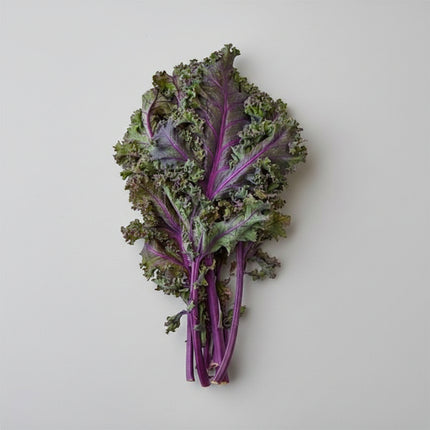 Kale Red Russian Seeds – Heirloom Tender Gourmet Favorite