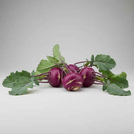 Kohlrabi Purple Vienna Seeds – Heirloom Crisp Specialty Classic