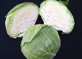 Cabbage, Pr Late Flat Dutch