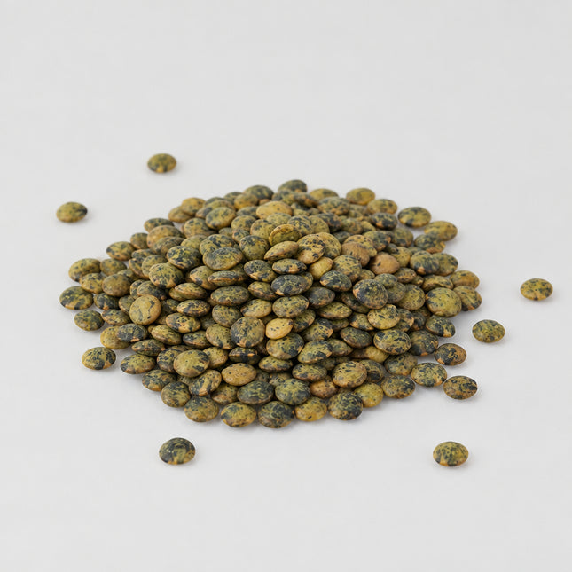 Lentil French Green Seeds – Heirloom Gourmet Puy-Type Legume Classic
