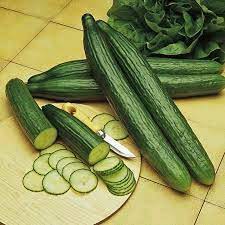 Cucumber, Long Green