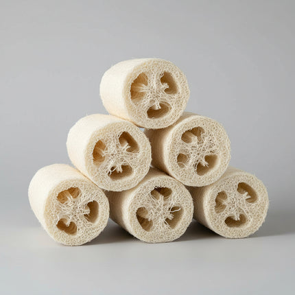 Luffa Natural Seeds – Heirloom Sponge Favorite