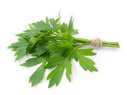 Lovage