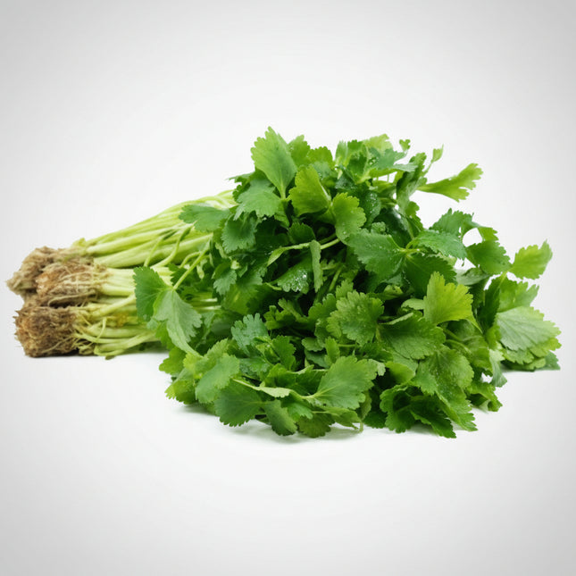Parsley Mitsuba (Japanese Parsley) Seeds – Heirloom Culinary Herb