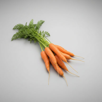 Carrot Nantes Coreless Seeds – Heirloom Sweet Root Vegetable