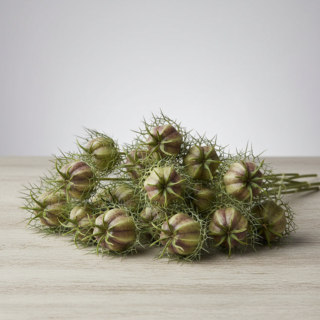 Close-up of a seed pod of Nettleflower (Lamium) with its distinctive spiky green and purplish-brown outer wings, surrounded by fine, thread-like green foliage against a soft-focus green background.