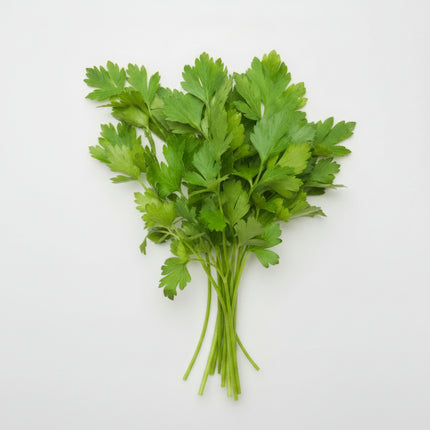 Parsley Plain Seeds – Heirloom Classic Culinary Favorite