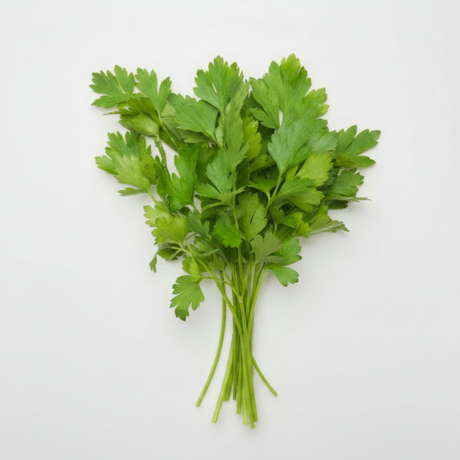 Parsley Plain Seeds – Heirloom Classic Culinary Favorite