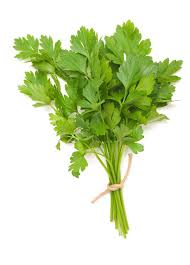 Parsley, plain