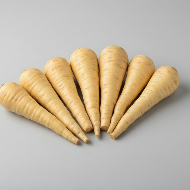 Parsnip Harris Model Seeds – Heirloom Sweet Uniform Root Classic