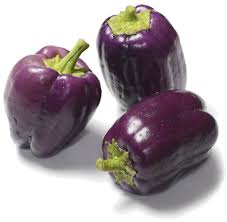 Pepper, Purple