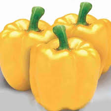 Pepper, Yellow Wonder