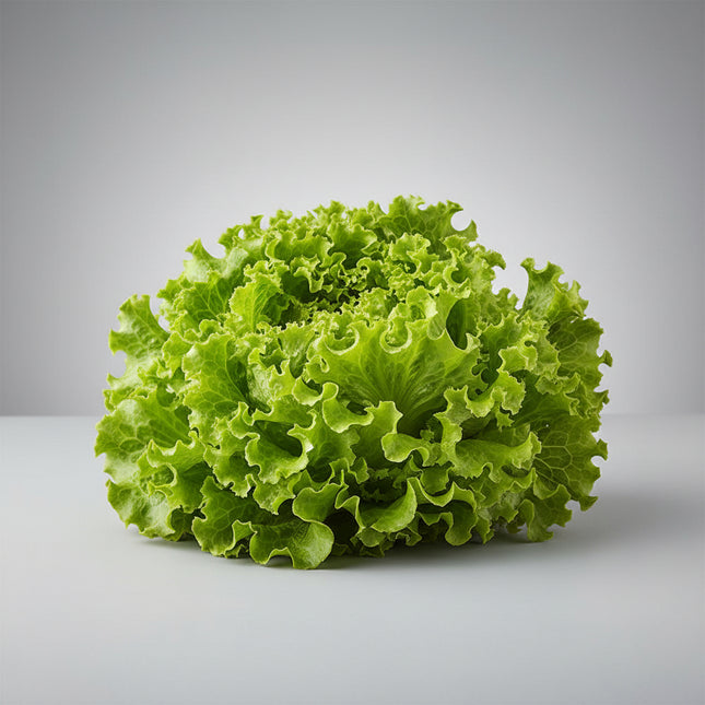 Lechuga, cabeza de premio