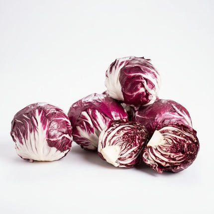 Cabbage Radicchio Seeds – Heirloom Italian Chicory Classic