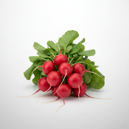 Rábano, Daikon