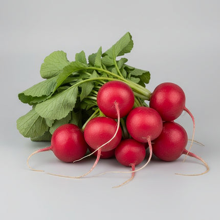 Rábano, Daikon