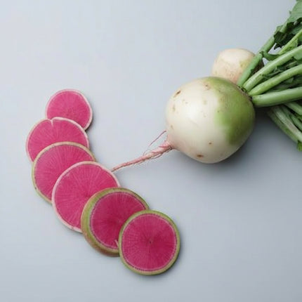 Rábano, Daikon