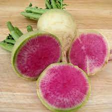 Radish, Chinese Red Meat