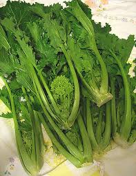 Rapini