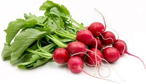 Radish, Red