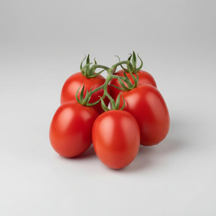 Tomato Roma Seeds – Heirloom Classic Paste Standard