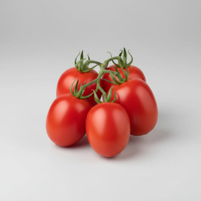 Tomate, Roma