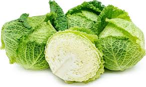 Cabbage, Savoy