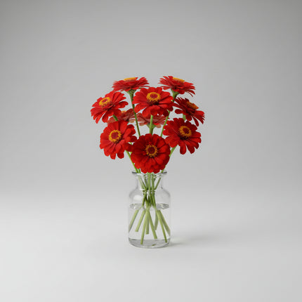 Zinnia, mezcla de feria estatal