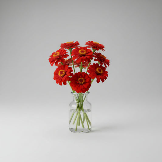 Zinnia, mezcla de feria estatal