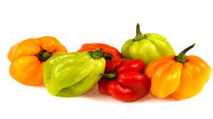 Pepper, Scotch Bonnet