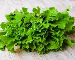 Lettuce, Black Seeded Simpson