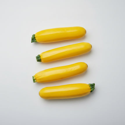 Zucchini Straightneck Seeds – Heirloom Yellow Summer Classic