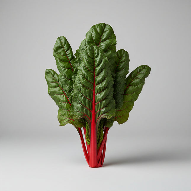Chard Swiss Ruby Red Seeds – Heirloom Colorful Greens