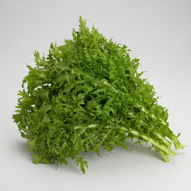 Mustard Wasabi Seeds – Heirloom Zesty Oriental Green