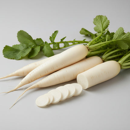 Radish White Icicle Seeds – Heirloom Crisp & Mild Specialty Root